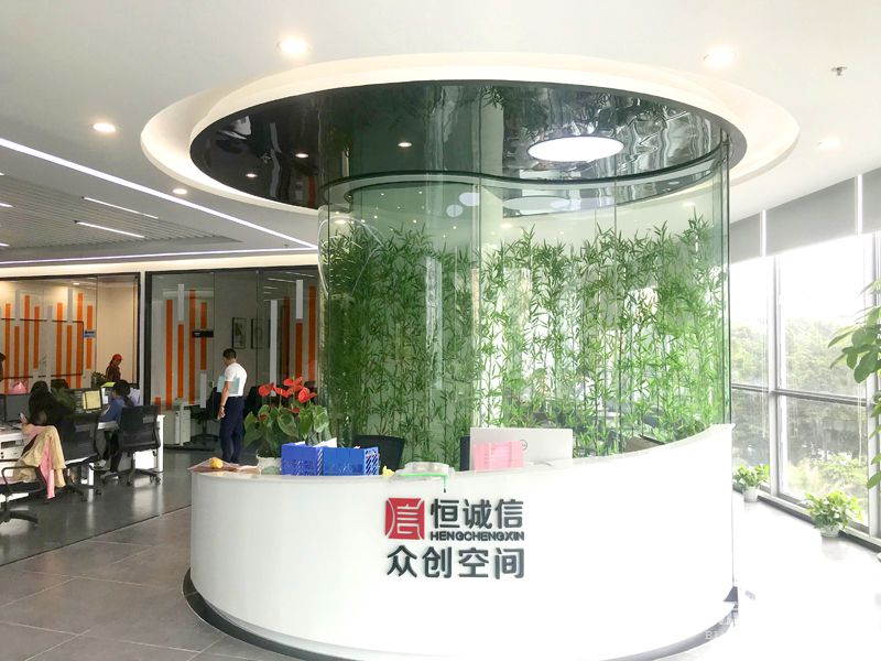 前台-实拍-色虎视频APP下载装修