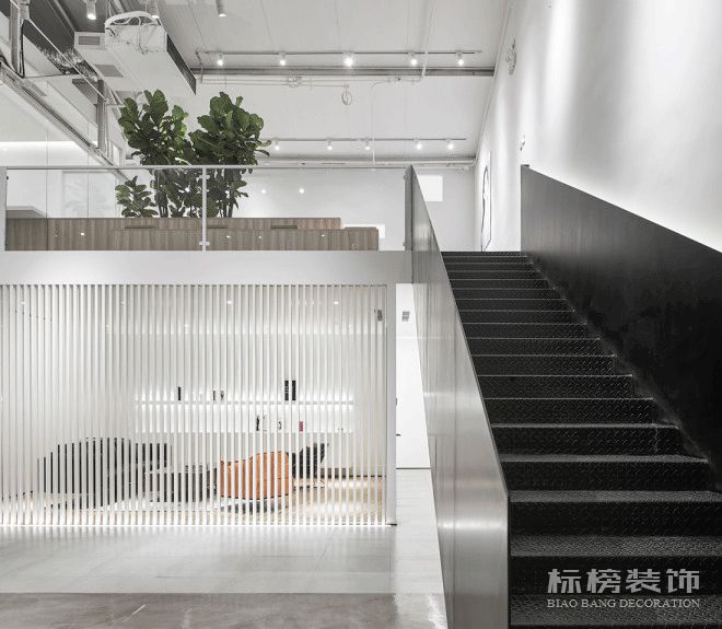 办公室植物摆放植物有哪些，怎么摆放比较好？